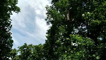 Multiple cumshots in the hot sun first cum was handsfree at 8: 40. Enjoy – Watch Free HD Cumshot XXX Video